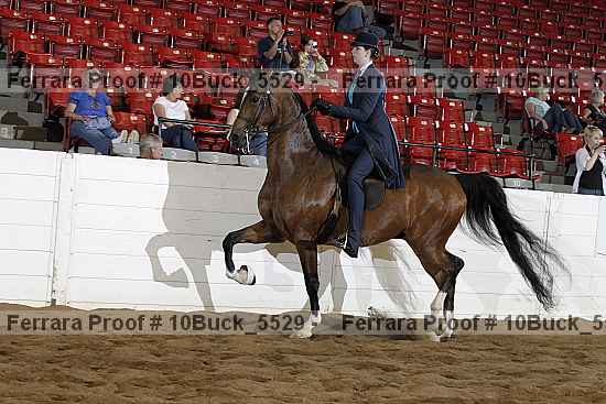 Proof 10buck_5529