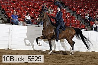 10buck_5529 proof