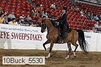 10buck_5530 proof