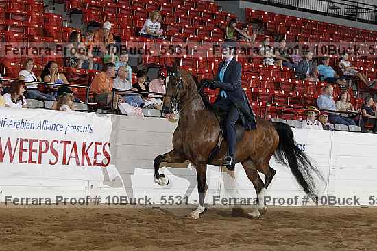 Proof 10buck_5531