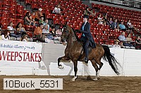 10buck_5531 proof