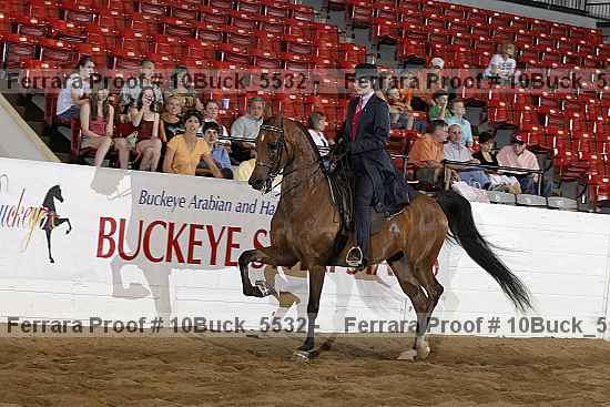 Proof 10buck_5532