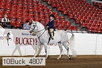 10buck_4807 proof