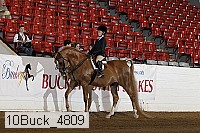 10buck_4809 proof