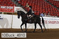 10buck_4810 proof
