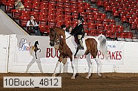 10buck_4812 proof