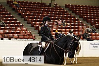 10buck_4814 proof