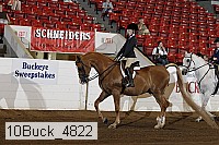 10buck_4822 proof