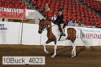 10buck_4823 proof