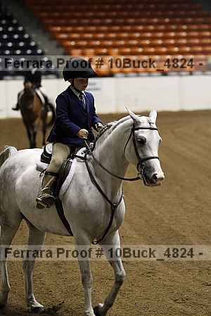 Proof 10buck_4824