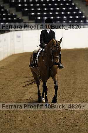 Proof 10buck_4826