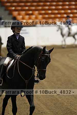 Proof 10buck_4832