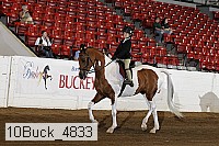 10buck_4833 proof