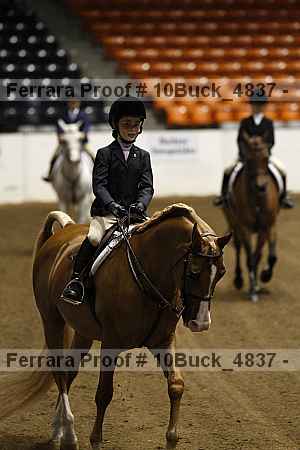 Proof 10buck_4837