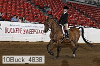 10buck_4838 proof