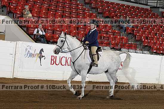 Proof 10buck_4839