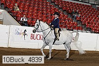 10buck_4839 proof