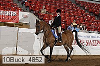 10buck_4852 proof