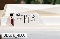 10buck_4860 proof
