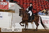 10buck_4871 proof