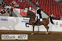 10buck_4877 proof