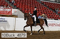 10buck_4879 proof