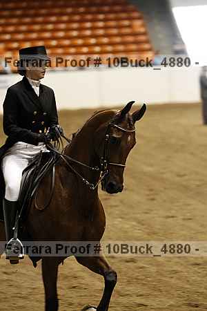 Proof 10buck_4880