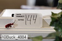 10buck_4884 proof