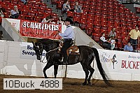 10buck_4888 proof
