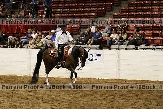 Proof 10buck_4890