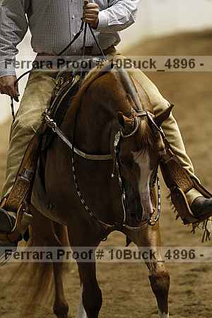 Proof 10buck_4896