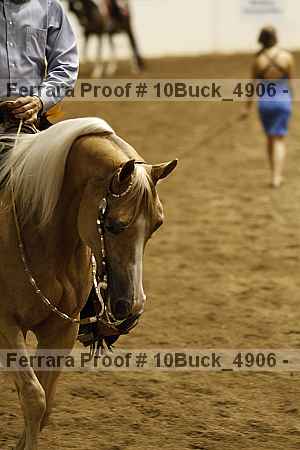 Proof 10buck_4906
