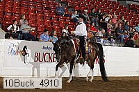 10buck_4910 proof