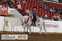 10buck_4916 proof