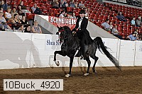 10buck_4920 proof