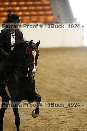 Proof 10buck_4924