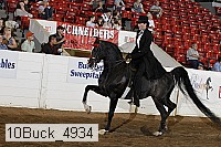 10buck_4934 proof