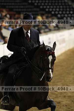 Proof 10buck_4940