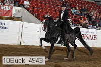 10buck_4943 proof