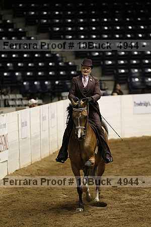 Proof 10buck_4944