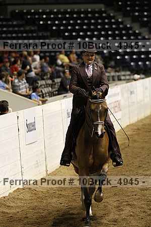 Proof 10buck_4945