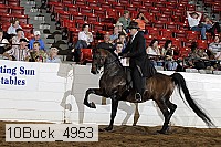 10buck_4953 proof