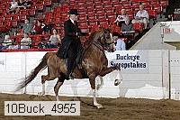 10buck_4955 proof