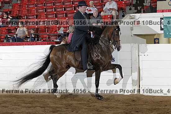 Proof 10buck_4956
