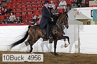 10buck_4956 proof