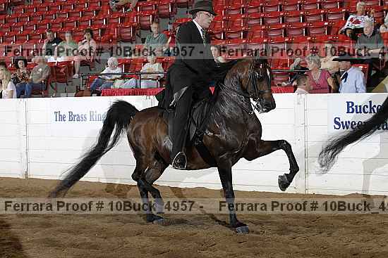 Proof 10buck_4957