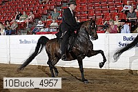10buck_4957 proof