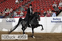10buck_4959 proof