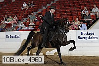 10buck_4960 proof