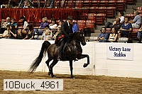 10buck_4961 proof